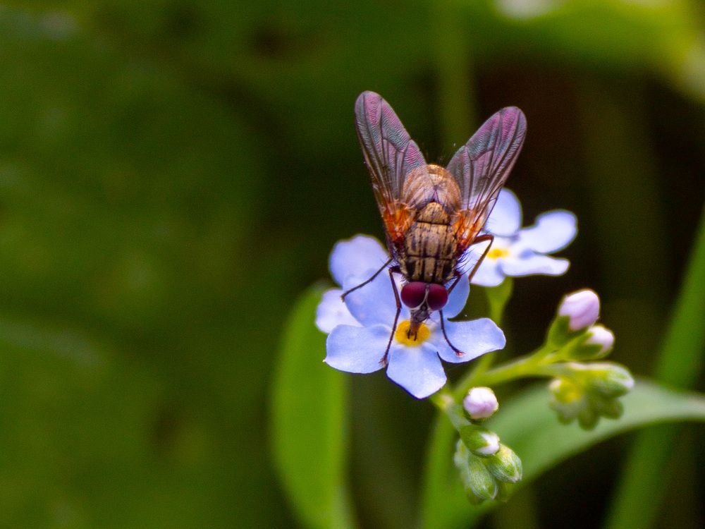 Photograph by Надежда Мытник