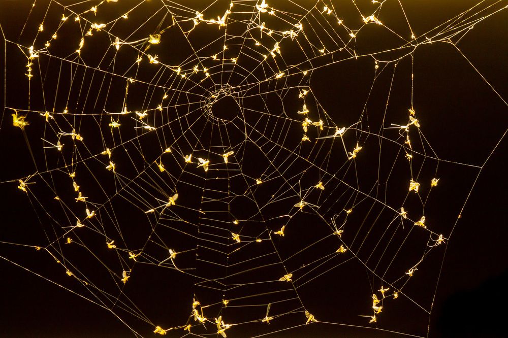 Золотая гирлянда