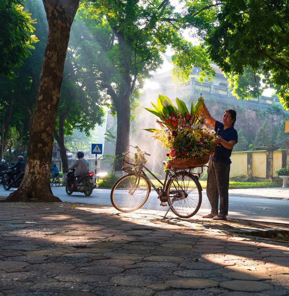 Фотография автора Đức Nguyễn