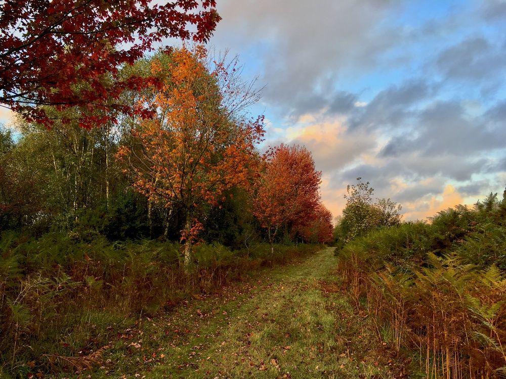 Photograph by Inga Dreger