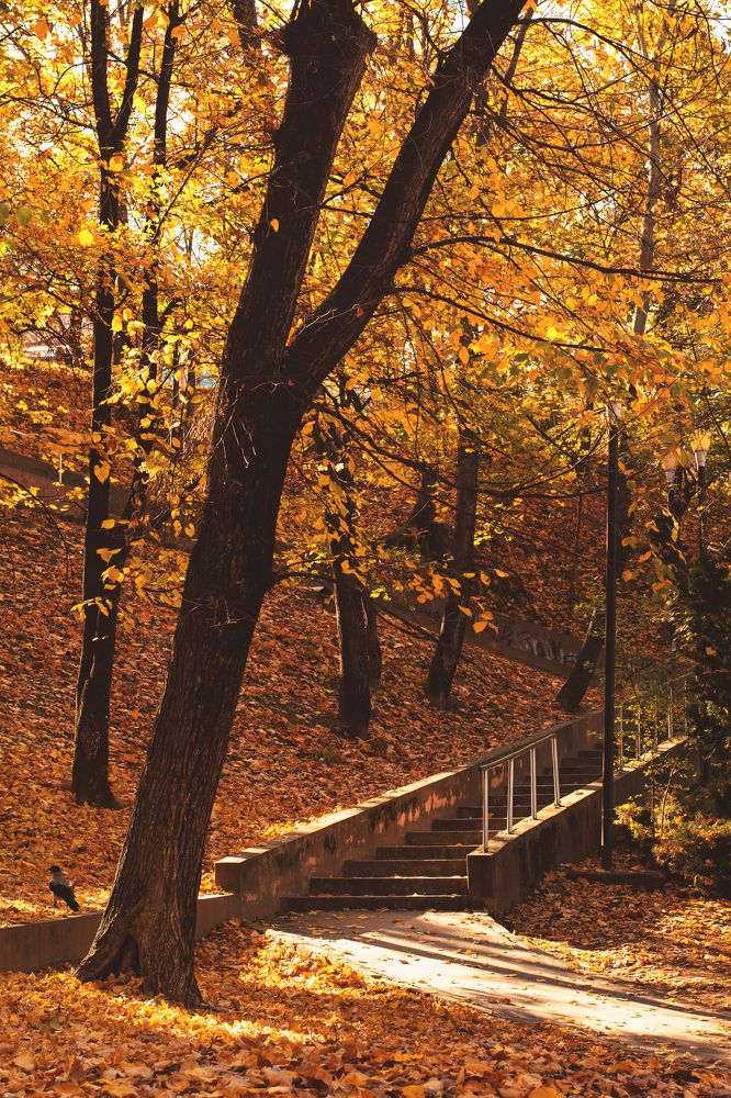 Photograph by George Sorin