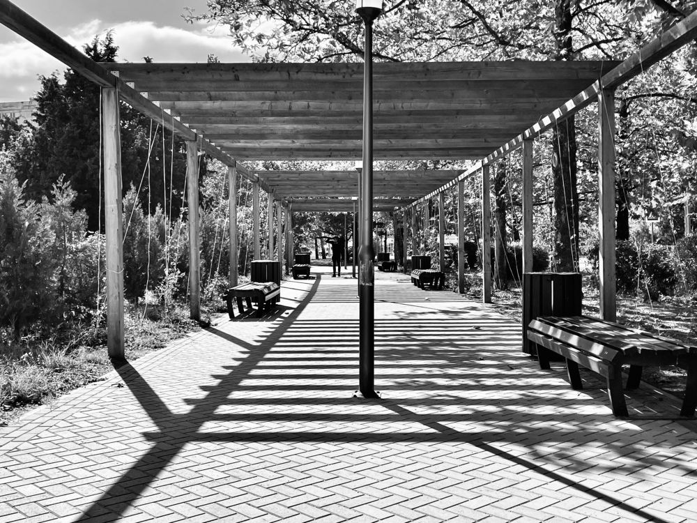 Photograph by Мария Ковригина