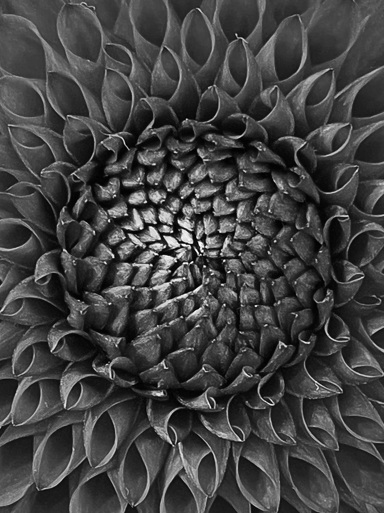 Photograph by Мария Ковригина