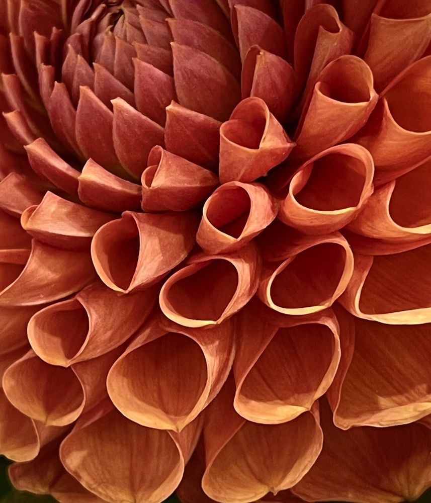 Photograph by Мария Ковригина