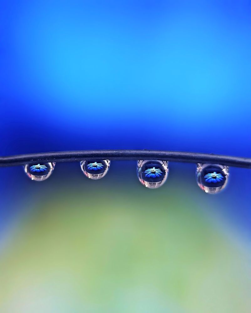 Photograph by Pon Malar