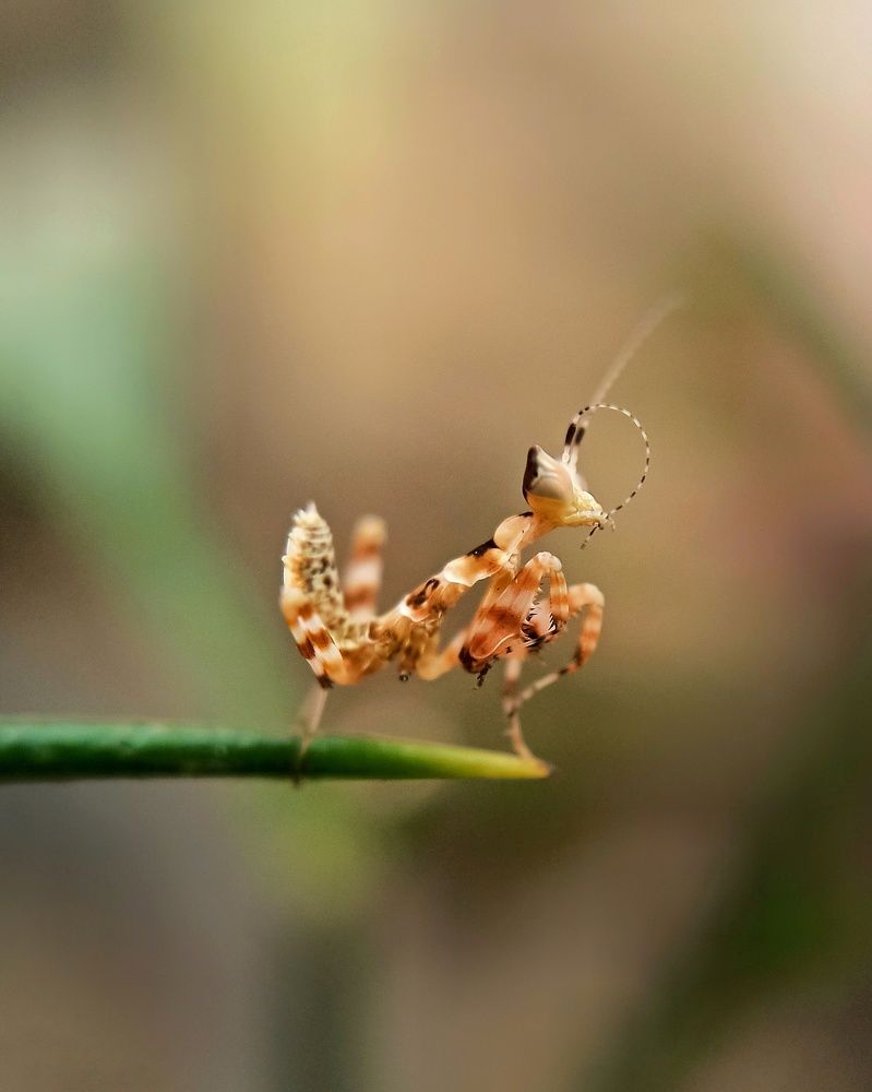 Photograph by Pon Malar