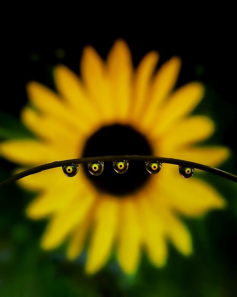 Photograph by Pon Malar