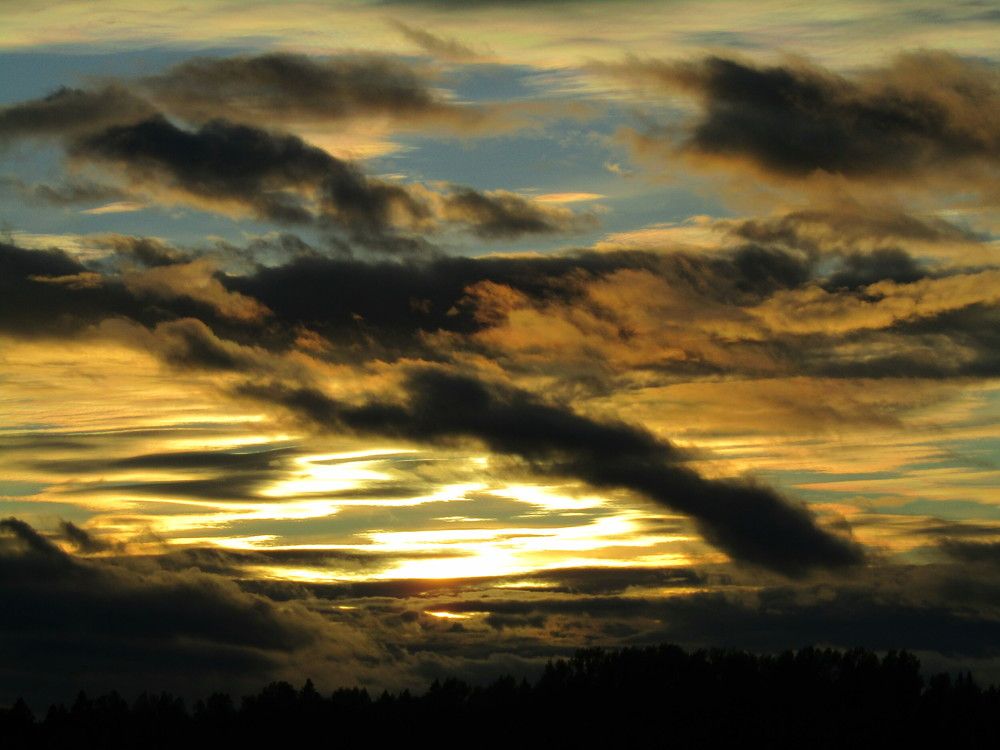 Photograph by Николай Худяков