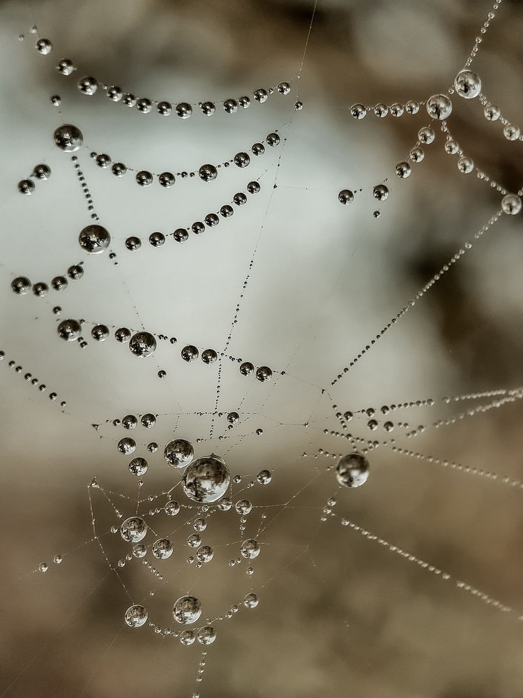 Photograph by Лариса Когтева