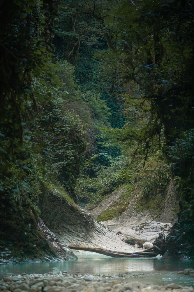 Photograph by Андраханов Олег