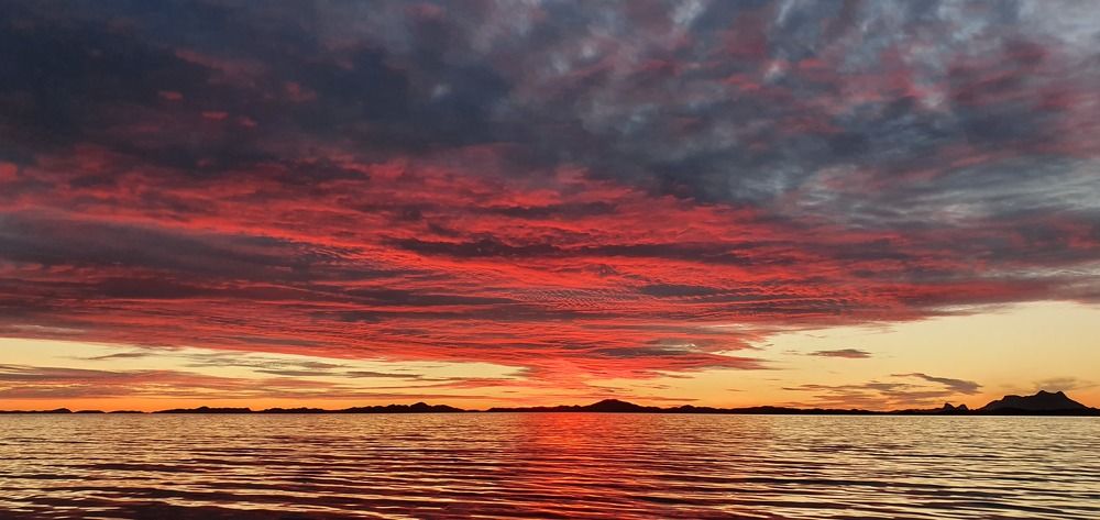 Photograph by Elisabeth Vinther