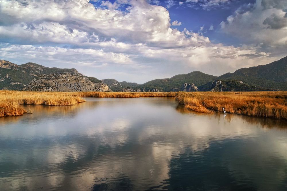 Photograph by Марина Ческис