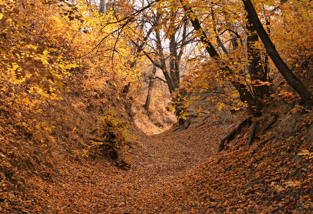 Photograph by Александр Малён