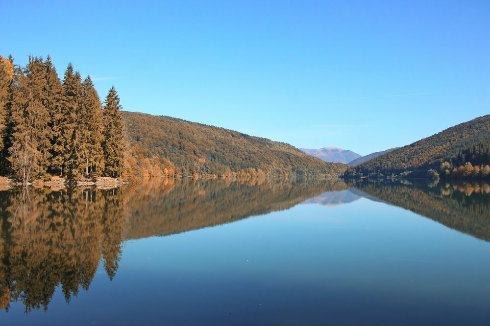 Photograph by Александр Малён