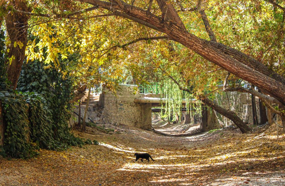 Photograph by safoura asghari