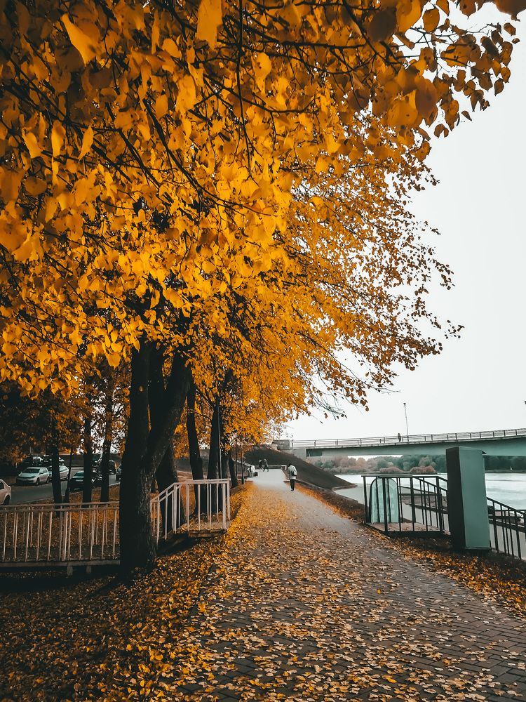 Photograph by Светлана Ишкина