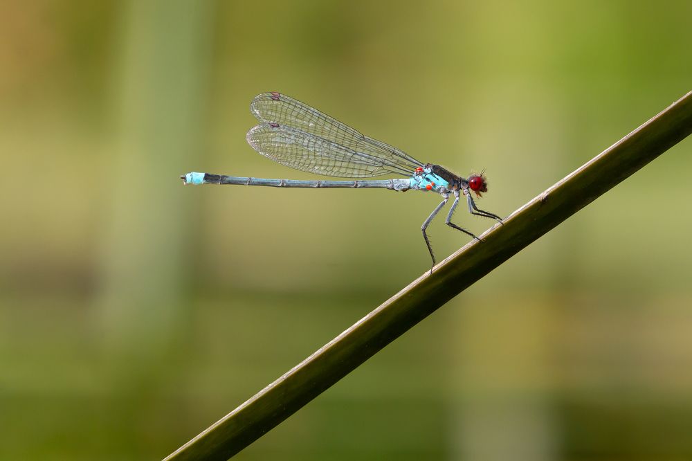 Photograph by Роман Дергунов