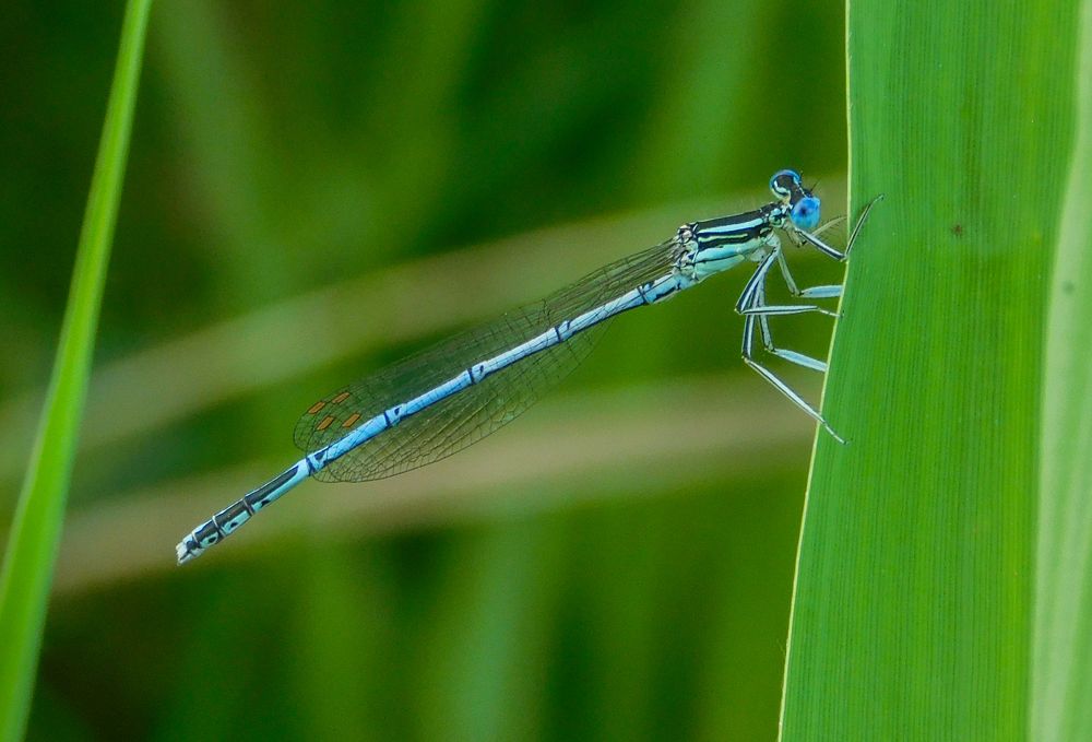 Photograph by Андрей Семенченко