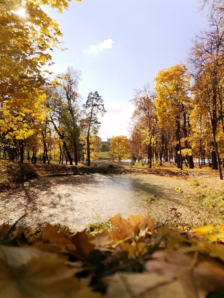 Photograph by Валерия