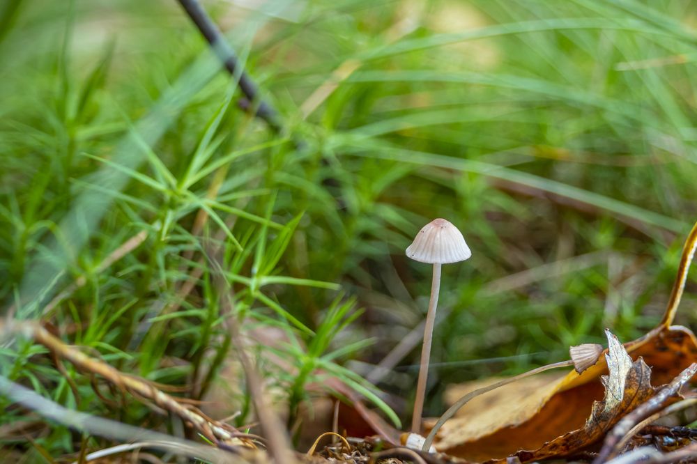 Photograph by Дмитрий Бутин