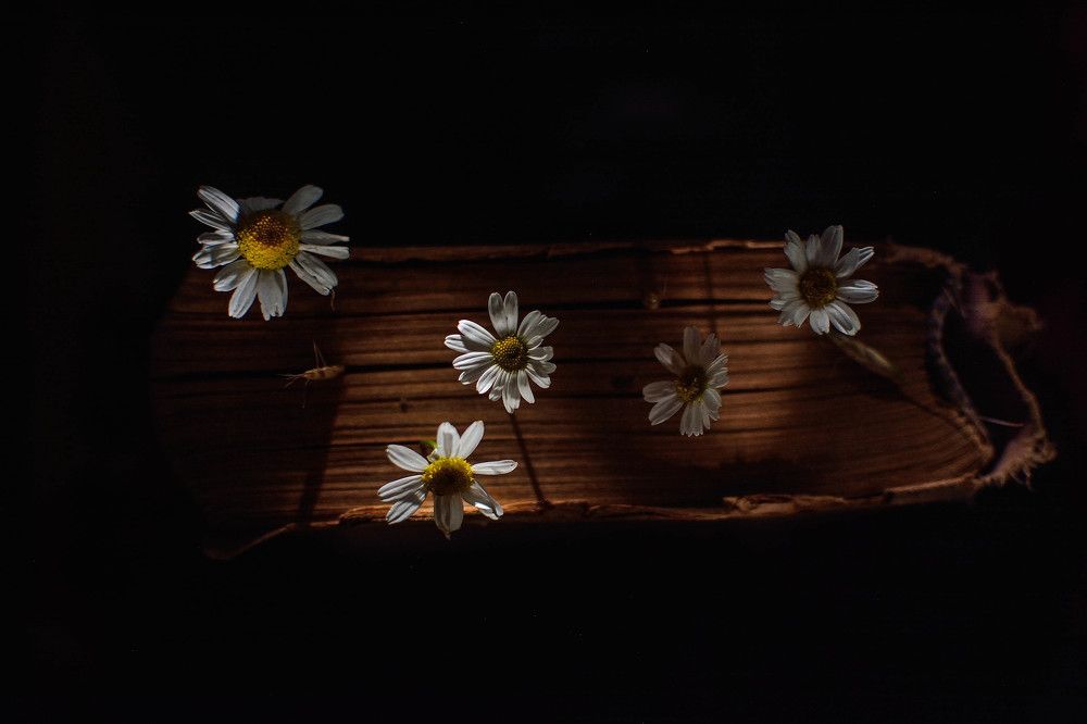 Photograph by Александр Ниткин