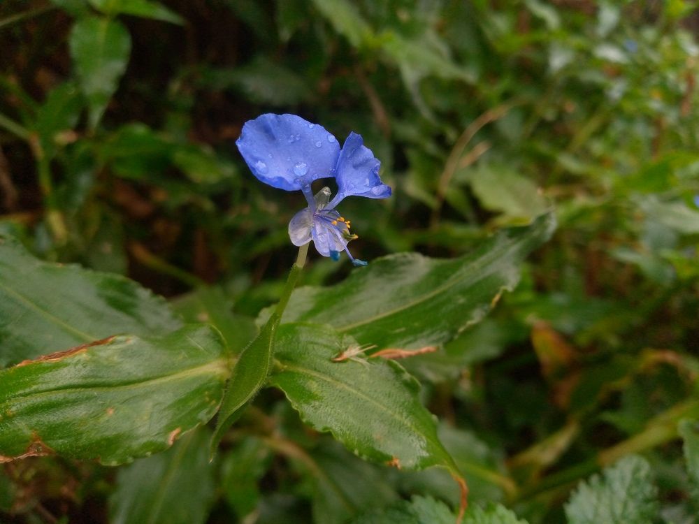 Photo #6654858