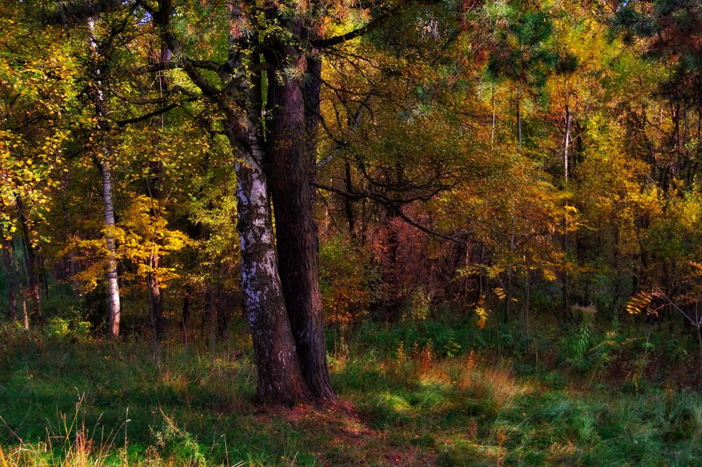 Photograph by Aleksandr Larionov