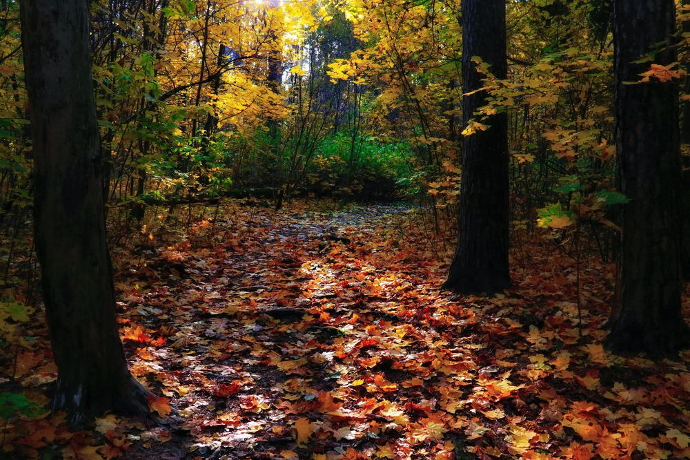 Photograph by Aleksandr Larionov