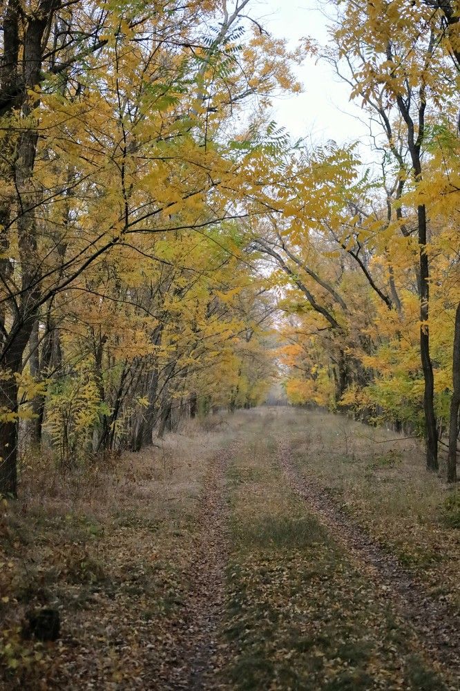 Photograph by Александра Александра