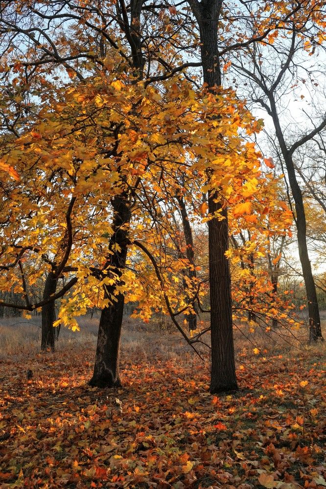 Photograph by Александра Александра