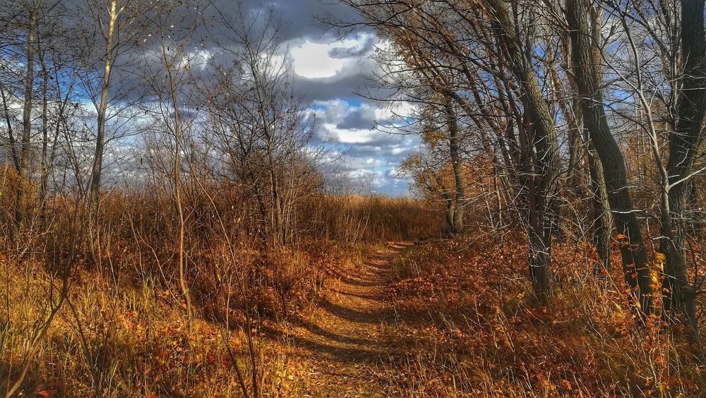 Photograph by Диляра Фахреева