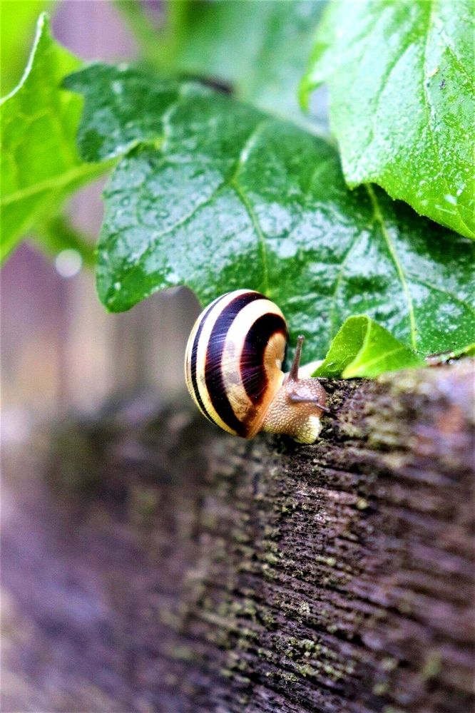 Photograph by Федоренко Элеонора