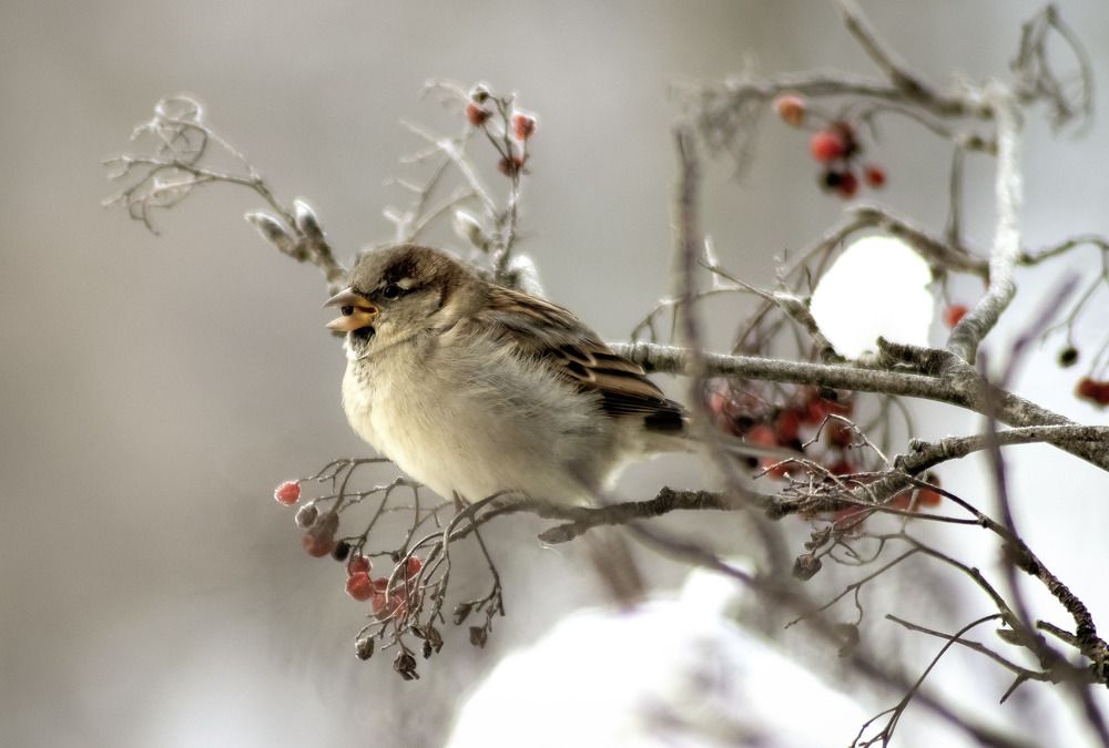 Photograph by Екатерина Чернышова