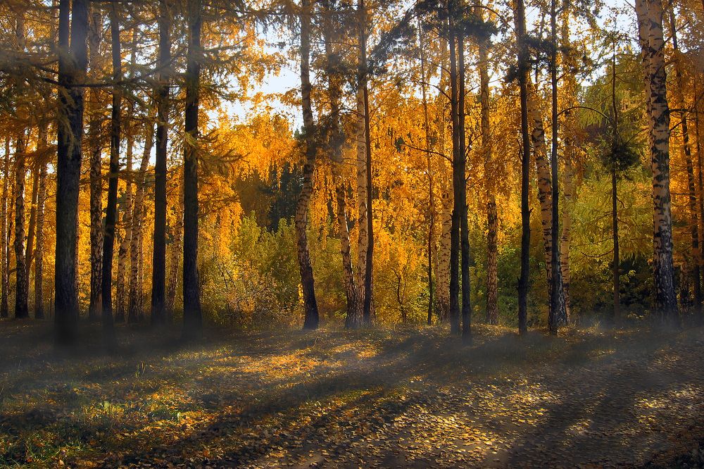 Photograph by Ольга Заболотская