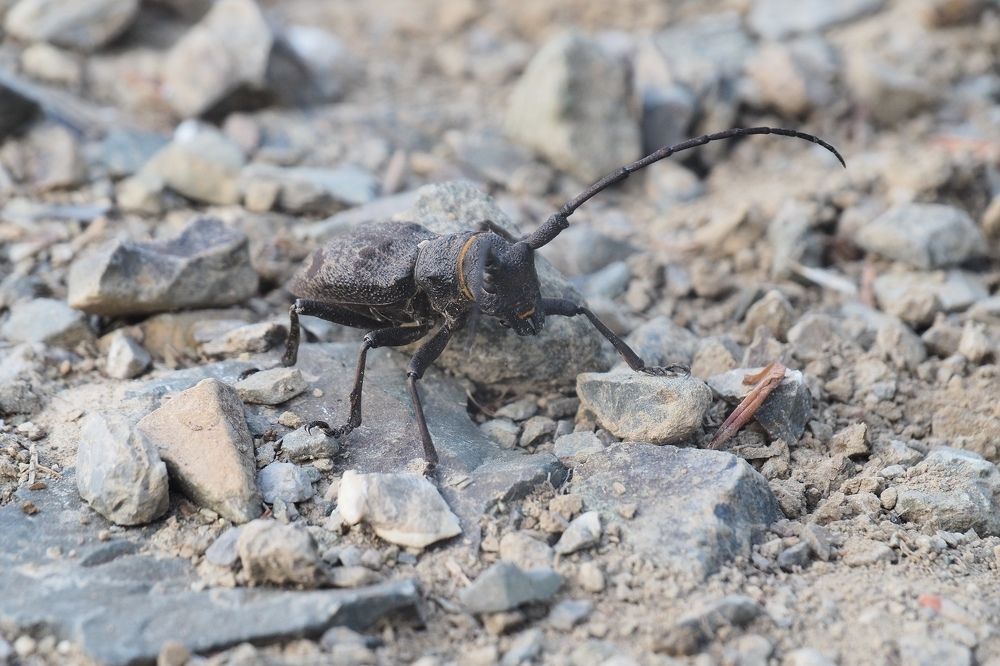 Photograph by Павел Бутко