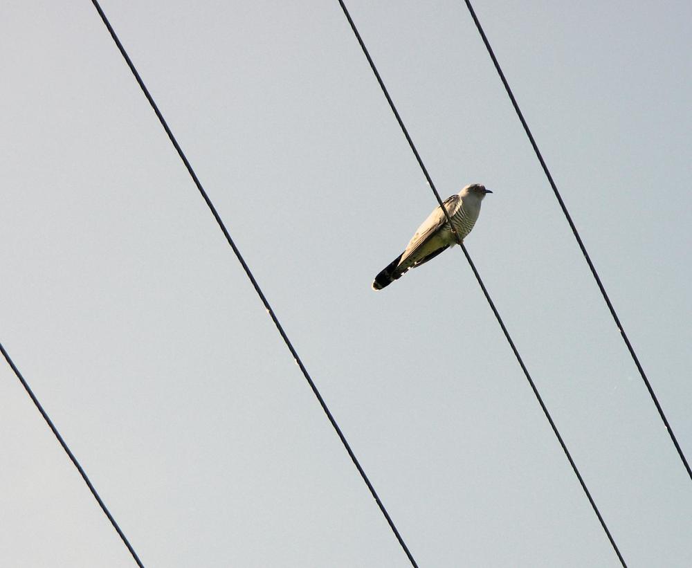 Photograph by Федоренко Элеонора