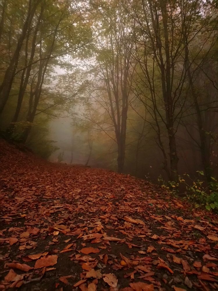 Photograph by Sina Saadati