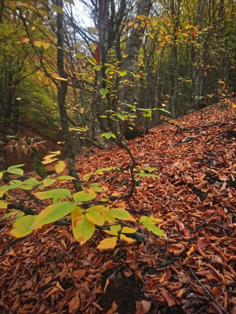 Photograph by Sina Saadati