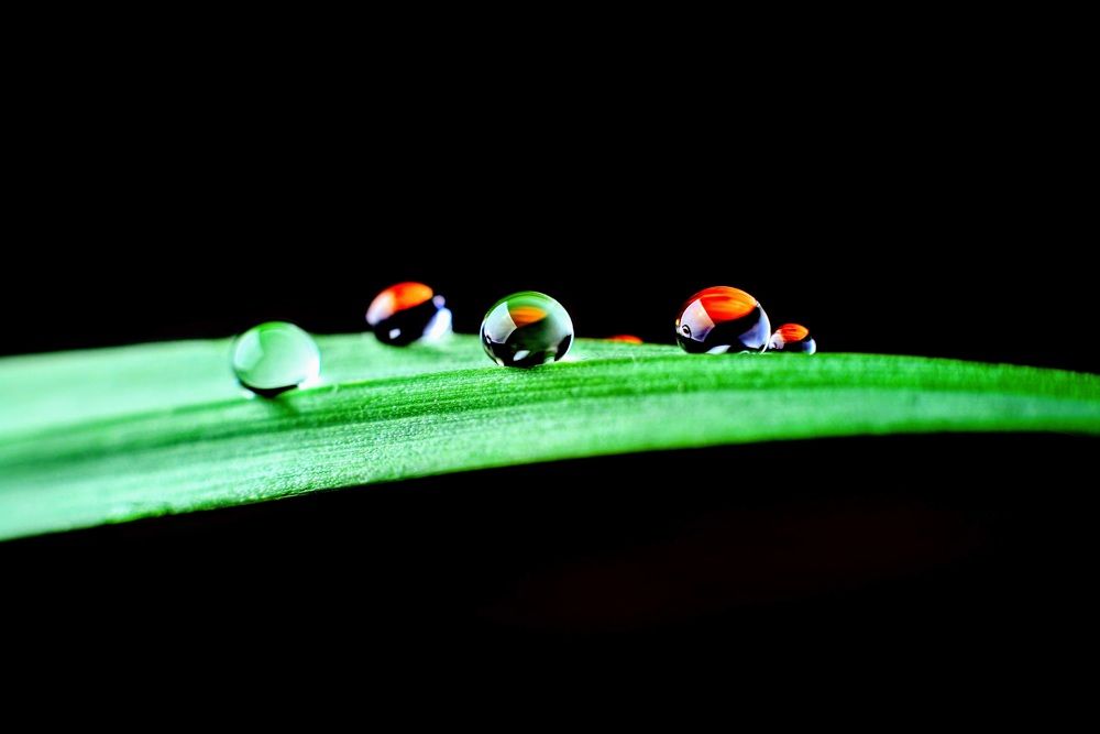 Фотография автора Шакая Виталик