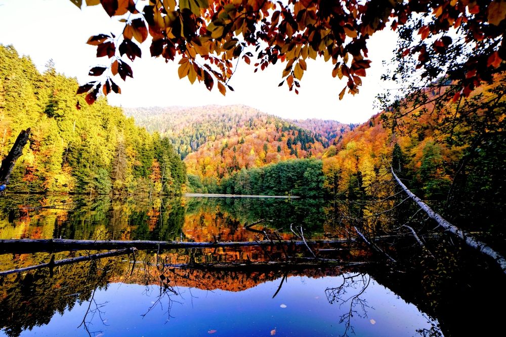 Фотография автора Шакая Виталик