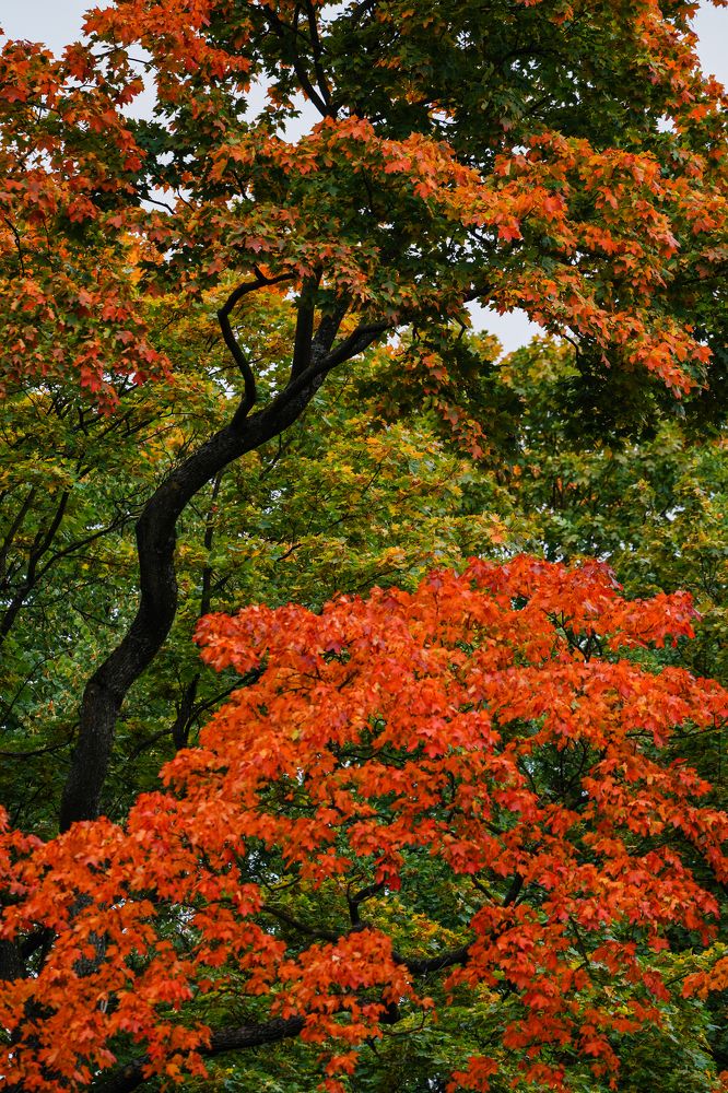 Фотография автора Владимир Хащанский