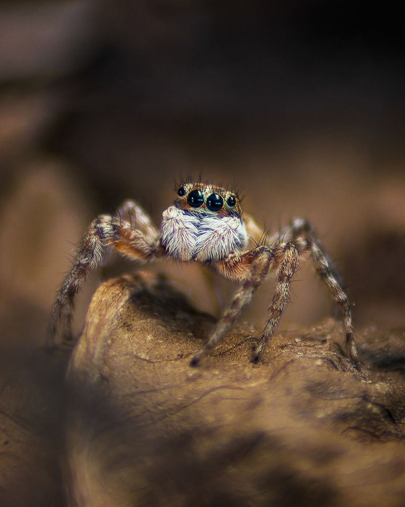 Photograph by BILL CABRERA