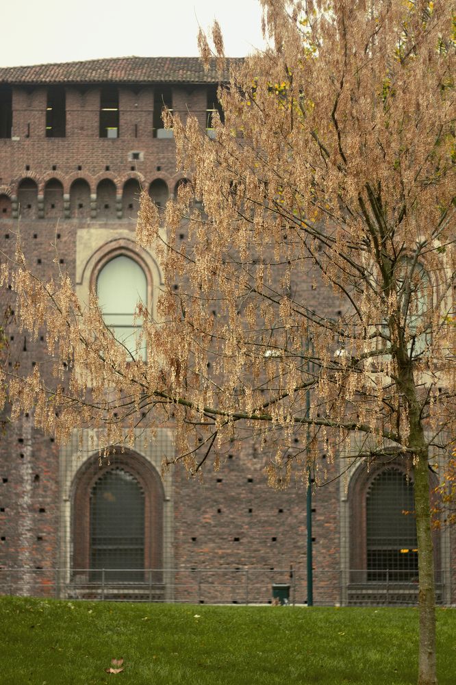 Photograph by Mabru Rodrigues