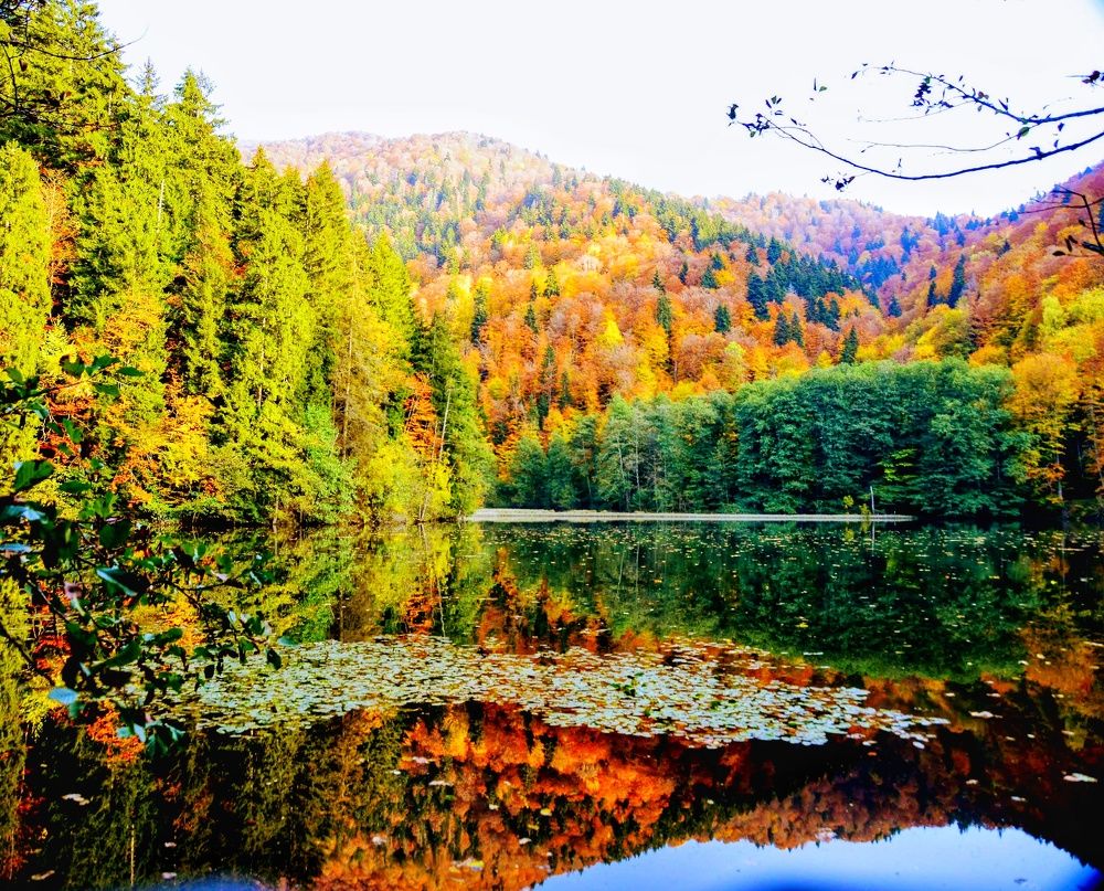 Фотография автора Шакая Виталик