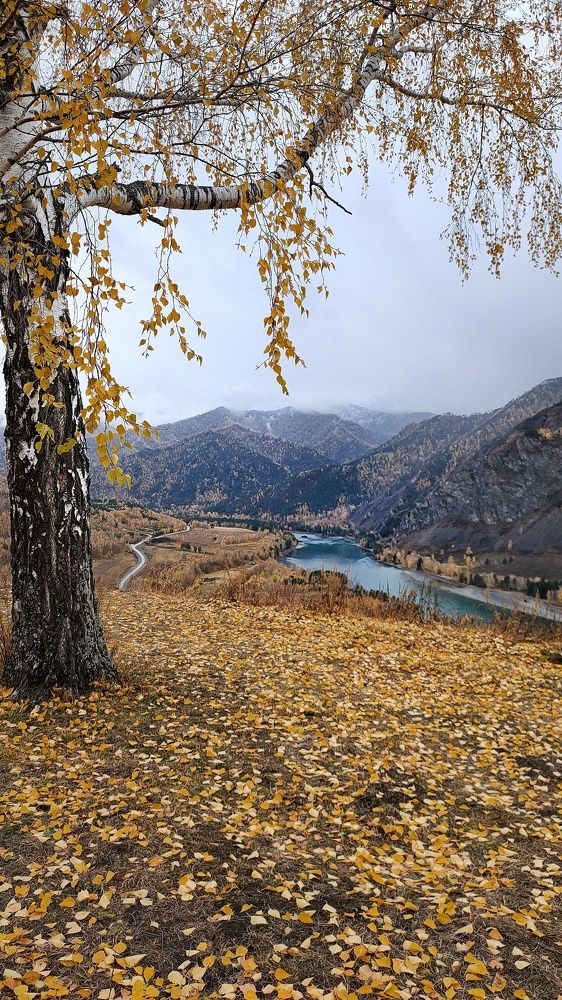 Photo #6655103