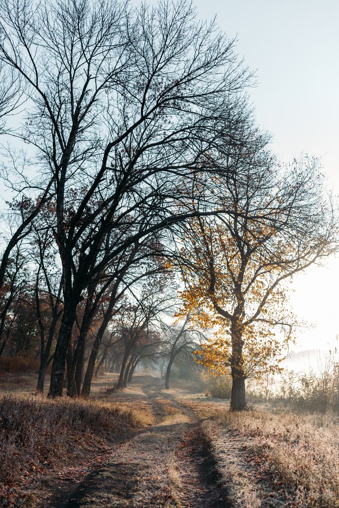 Photograph by Бедряк Юлия