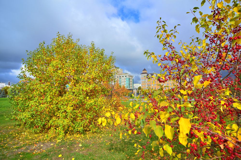 Фотография автора Клавдия Васильева