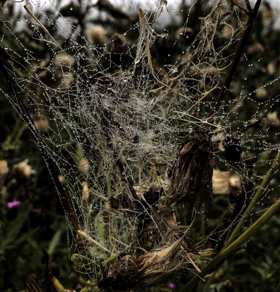 Photograph by Maria Yeromina