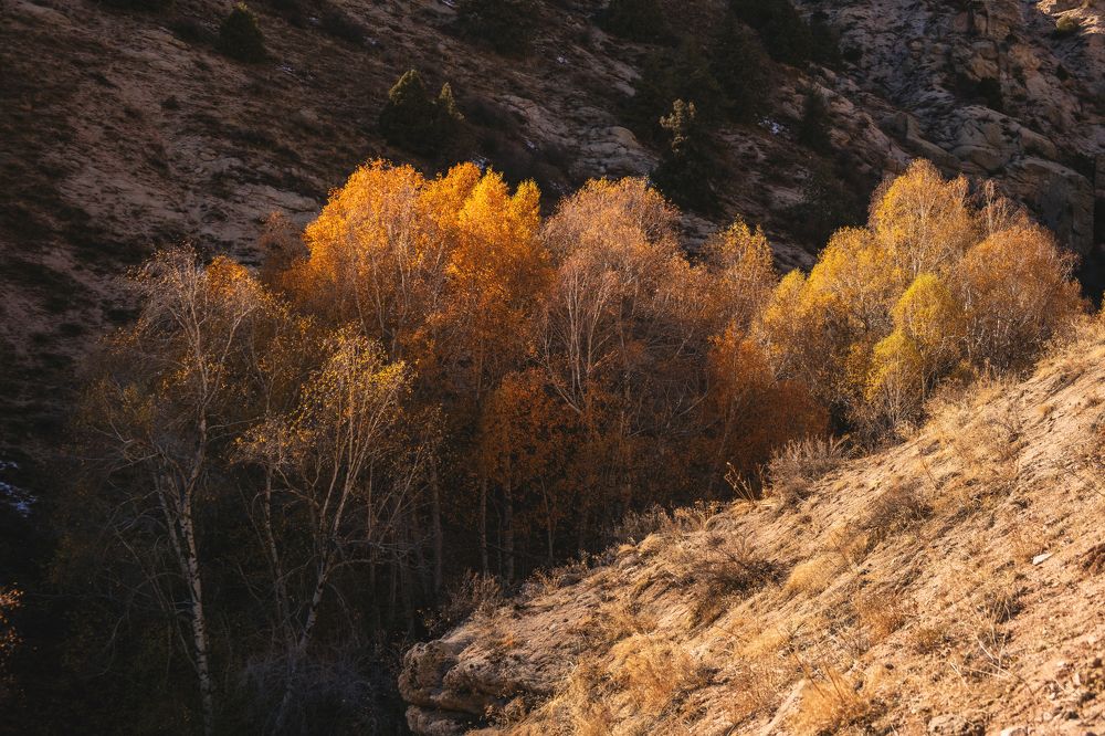 Photograph by Дильмурад Ахмедов