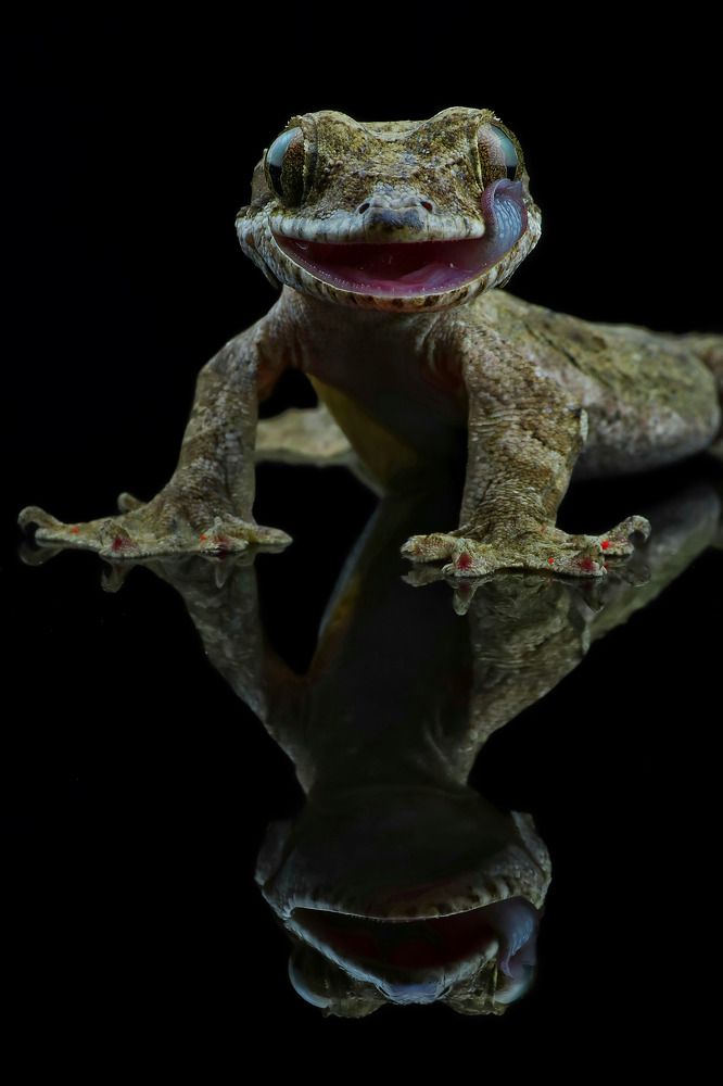 Photograph by Adi rosadi